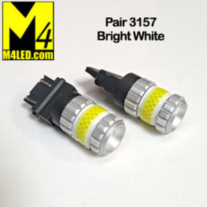 Tail Light Bulbs