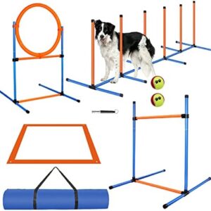 Backyard Agility Set