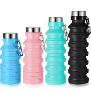 Collapsible Water Bottle
