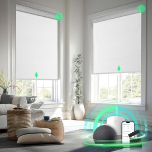Smart Blinds