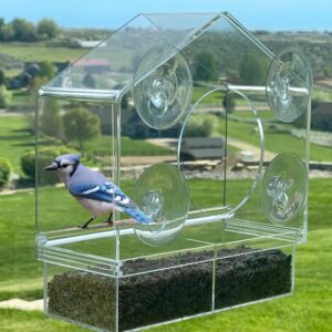 Window Bird Feeder