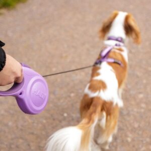 Retractable Dog Leash