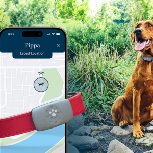 Pet Health Monitor