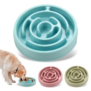 Slow Feed Dog Bowl