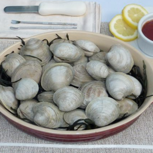 Little Neck Clams