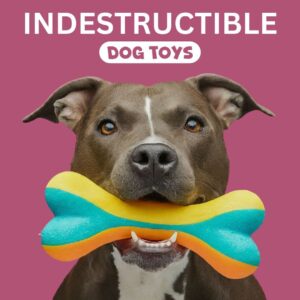 Durable Chew Toy