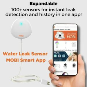 Smart Leak Sensor